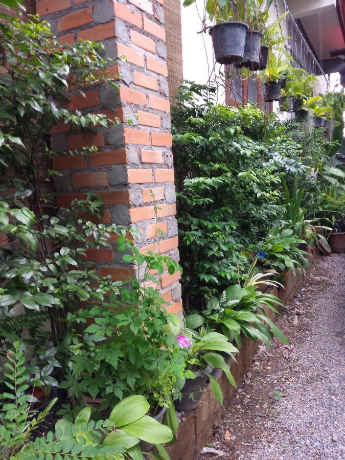 Chom Chan Guesthouse & Hostel Chiang Mai Buitenkant foto